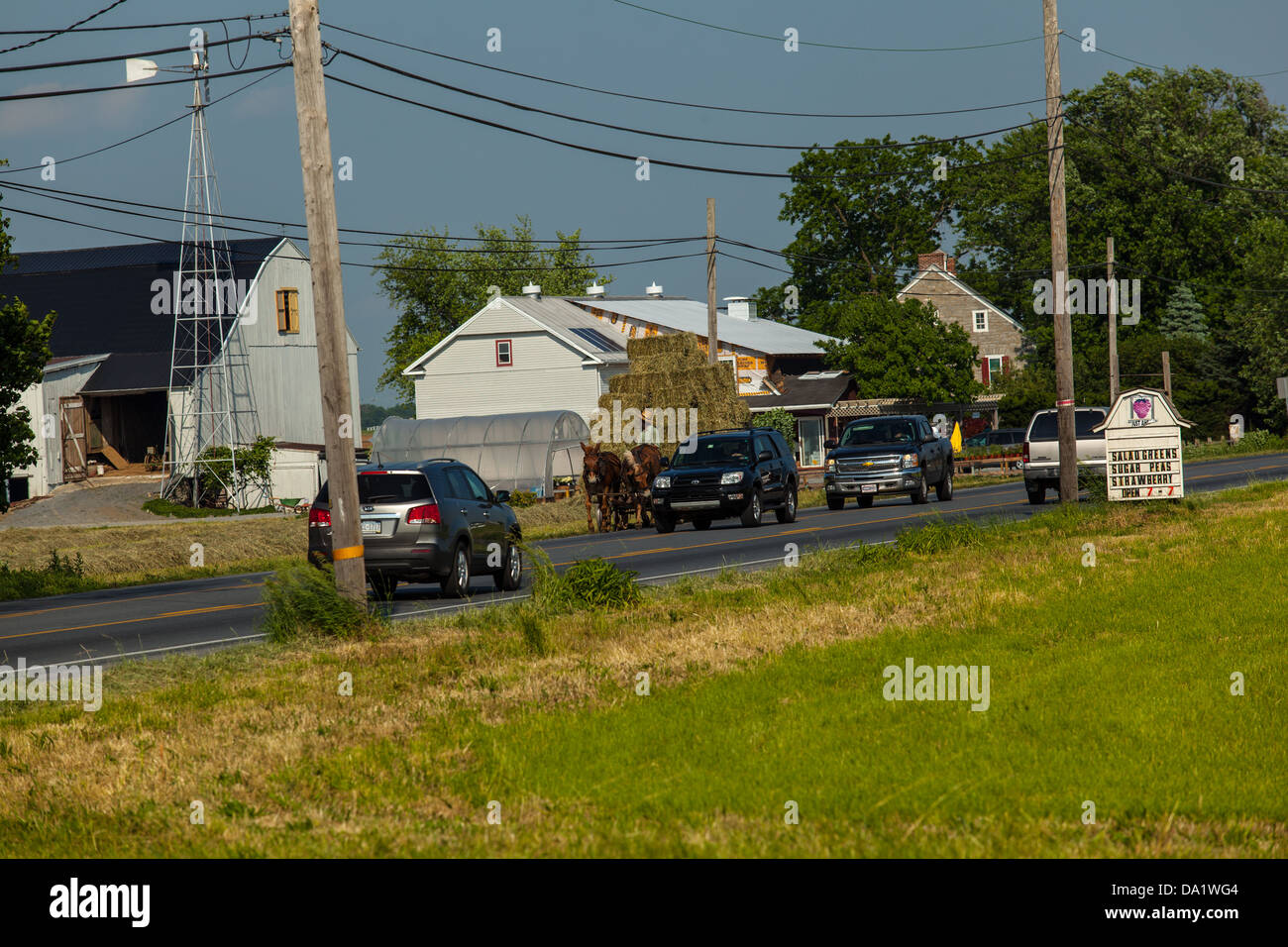 Pennsylvania amish auction hires stock photography and images Alamy
