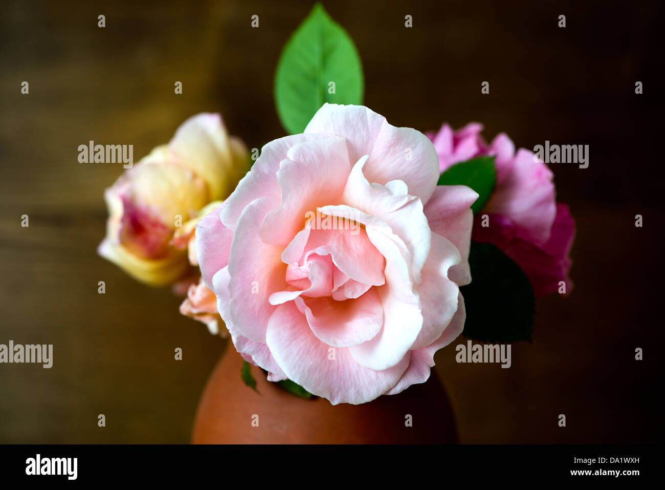 An arrangement of roses in an earthenware vase. Stock Photo