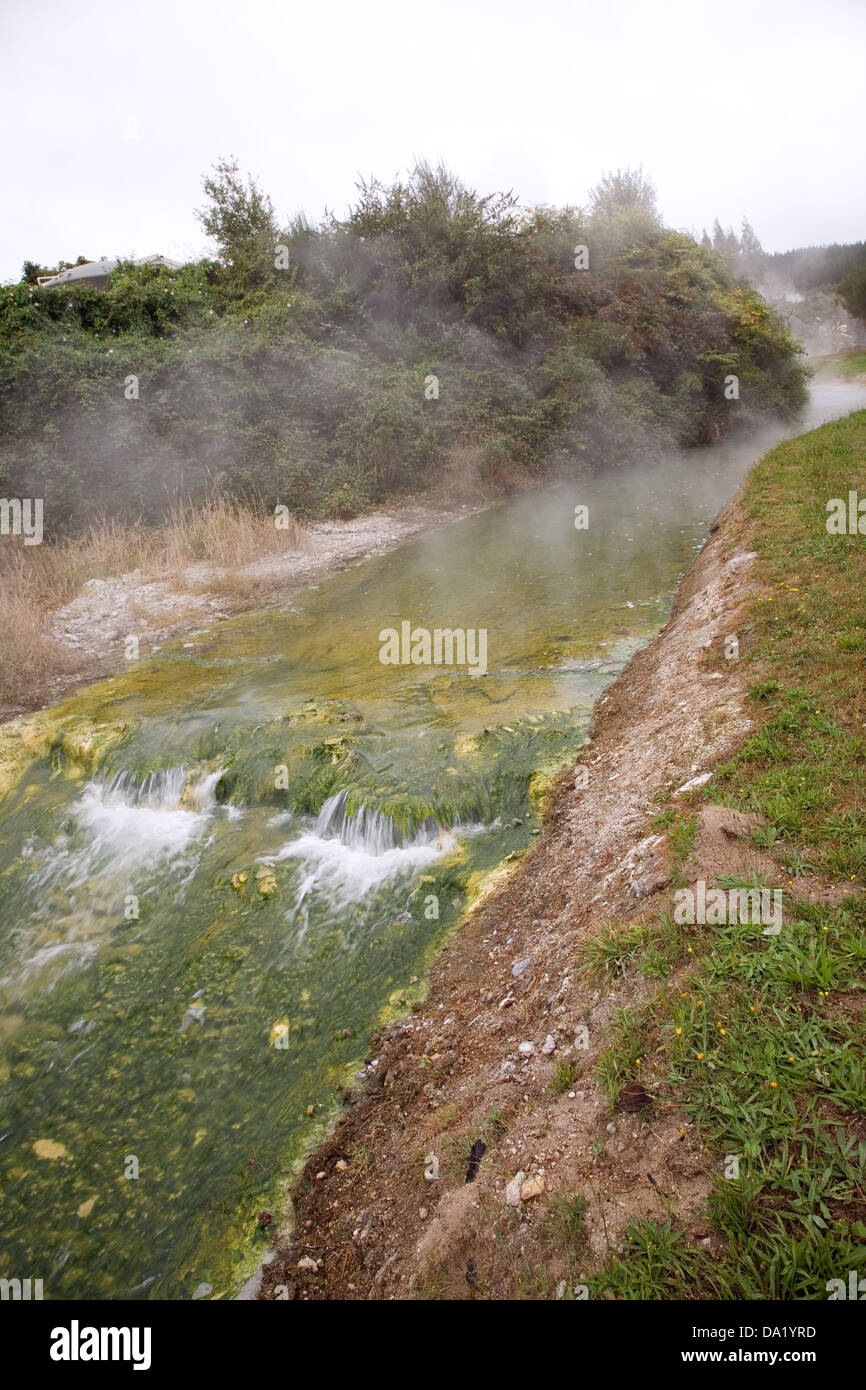 Te Kiri O Hinekai, is a geothermally heated stream that flows through