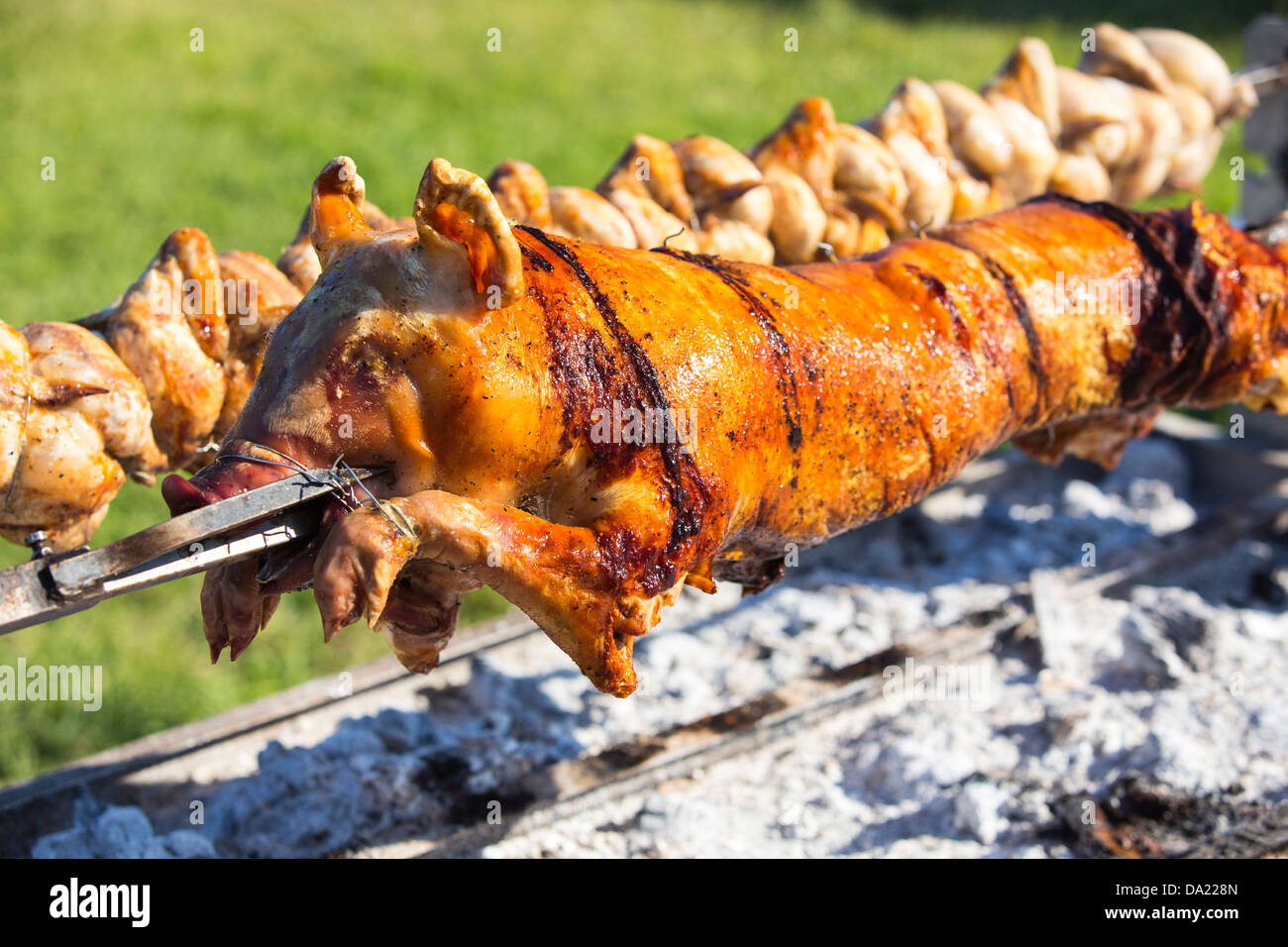 A hog roast and chickens roasting over a charcoal barbeque Stock Photo