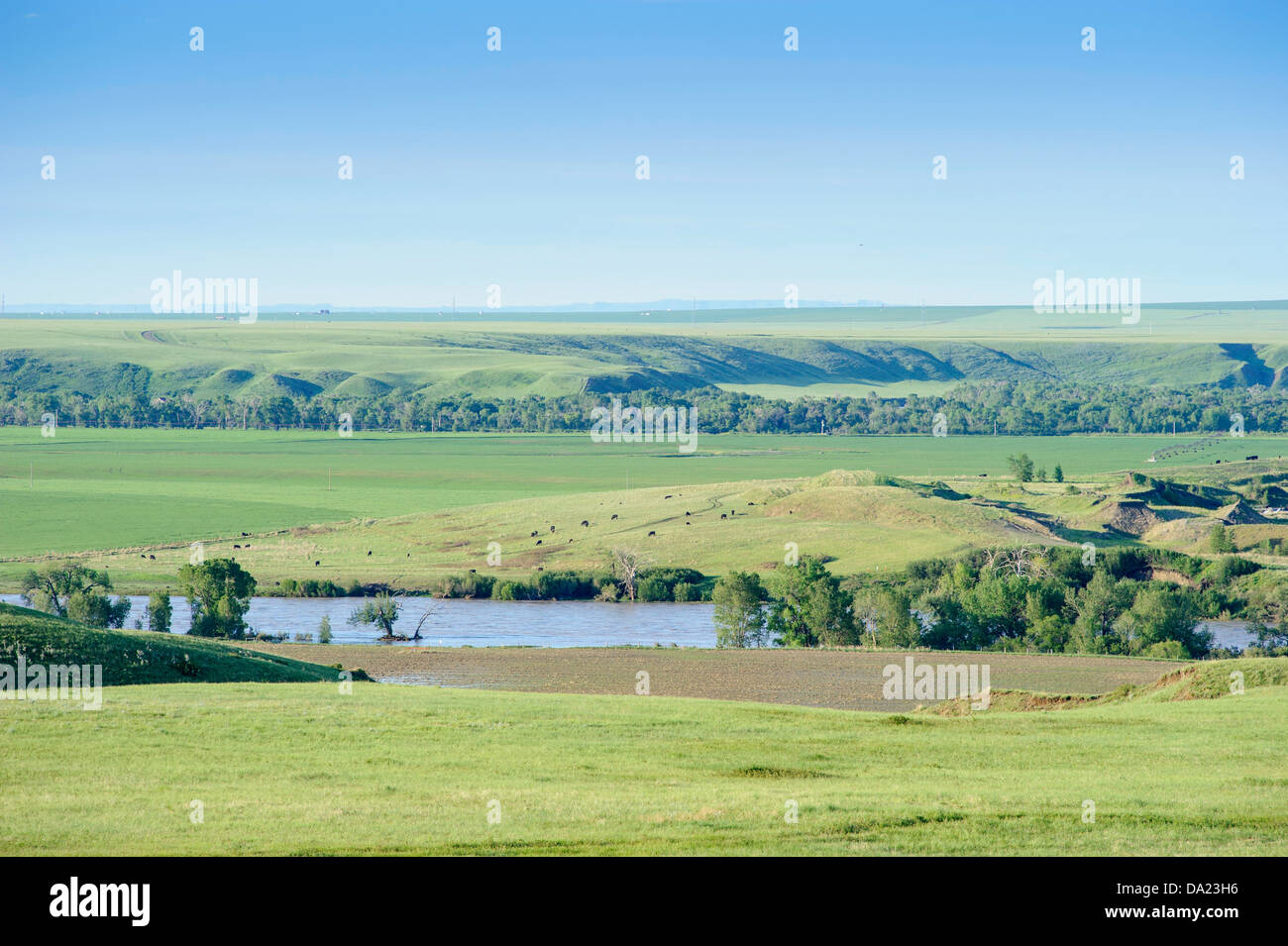 Coulee and Old Man River in Southern Alberta Stock Photo Alamy