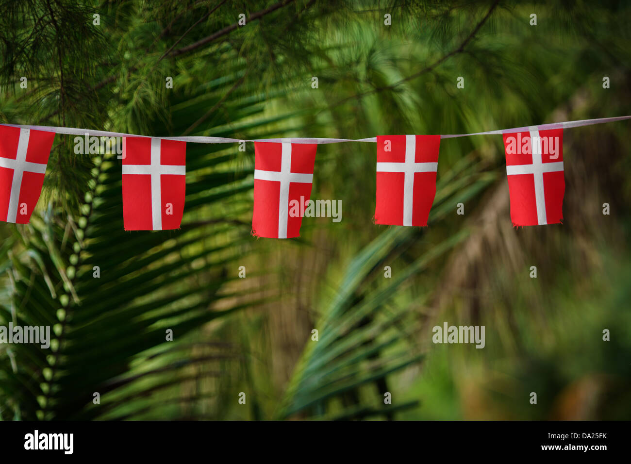 The small Danish flags decorate tropical palms in Thailand Stock Photo