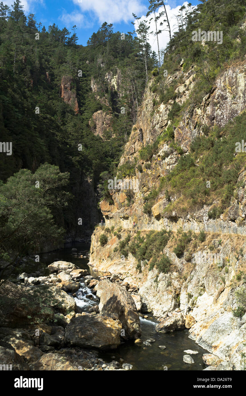 dh Waitawheta River KARANGAHAKE GORGE NEW ZEALAND People on footpath above gorge river country cliff trails Stock Photo