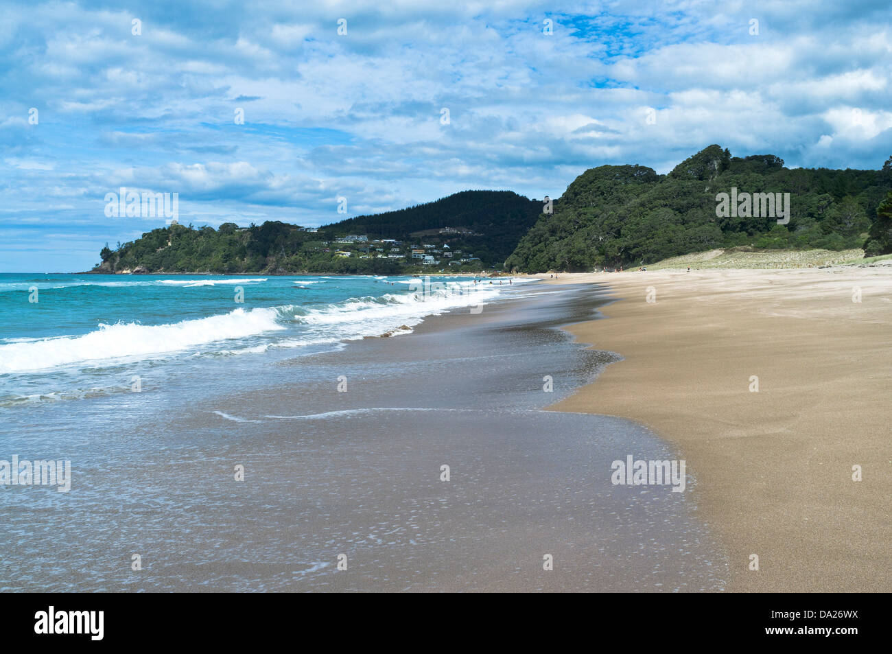 dh Hot Water Bay COROMANDEL NEW ZEALAND Waves on sandy beach peninsula coast Stock Photo