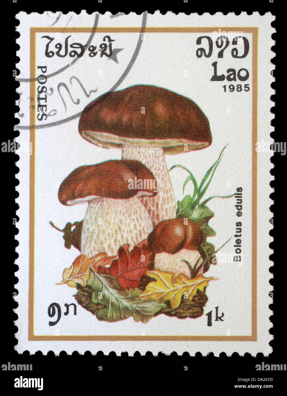 LAOS- CIRCA 1985: A stamp printed in Laos shows mushroom with the inscription 'Boletus Edulis' Stock Photo