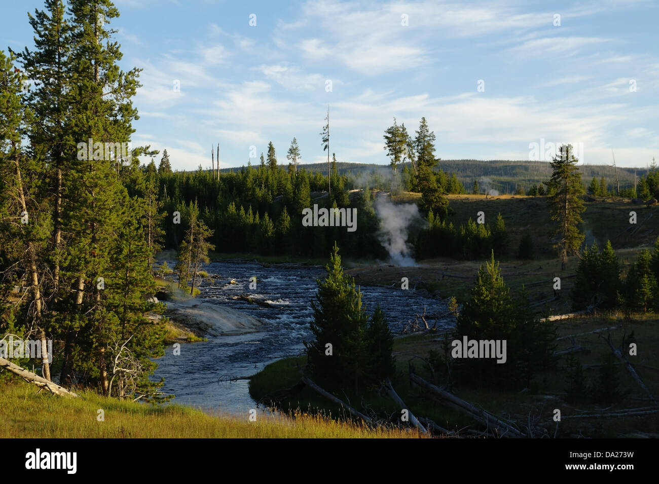 Blue sky evening view, path above Sentinel Geyser, green pine trees bend in Firehole River, Upper Geyser Basin, Yellowstone, USA Stock Photo