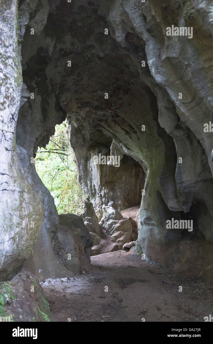 dh  WAITOMO NEW ZEALAND Limestone caves footpath stone cave Stock Photo