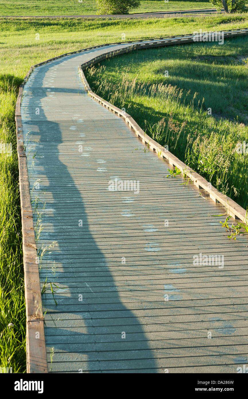 Footprints in the dew lead toward an overlook in Badlands National Park