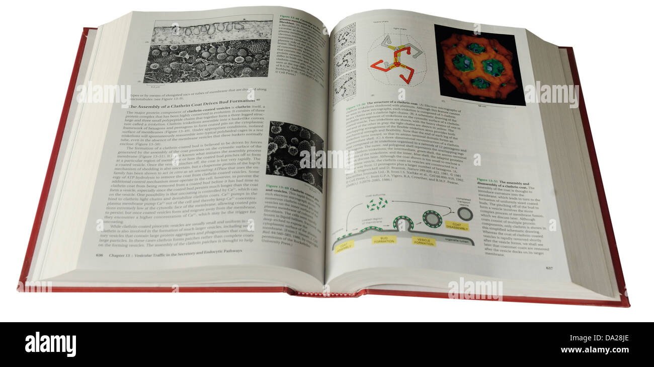 Molecular Biology of the Cell medical textbook Stock Photo