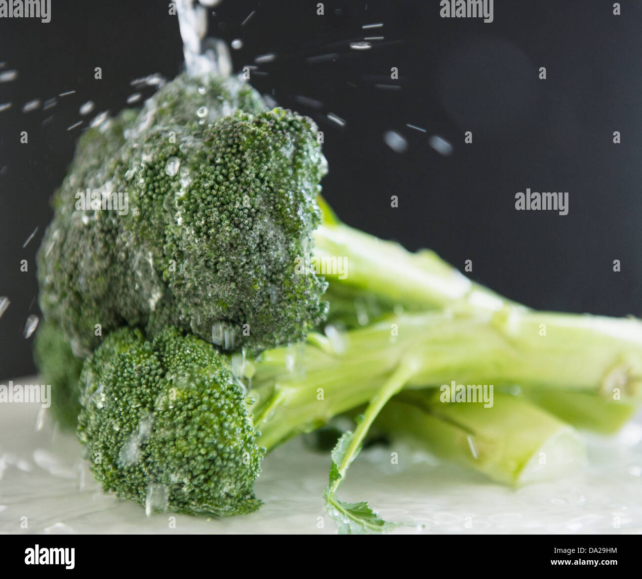 Close up of broccoli under water splash, studio shot Stock Photo Alamy