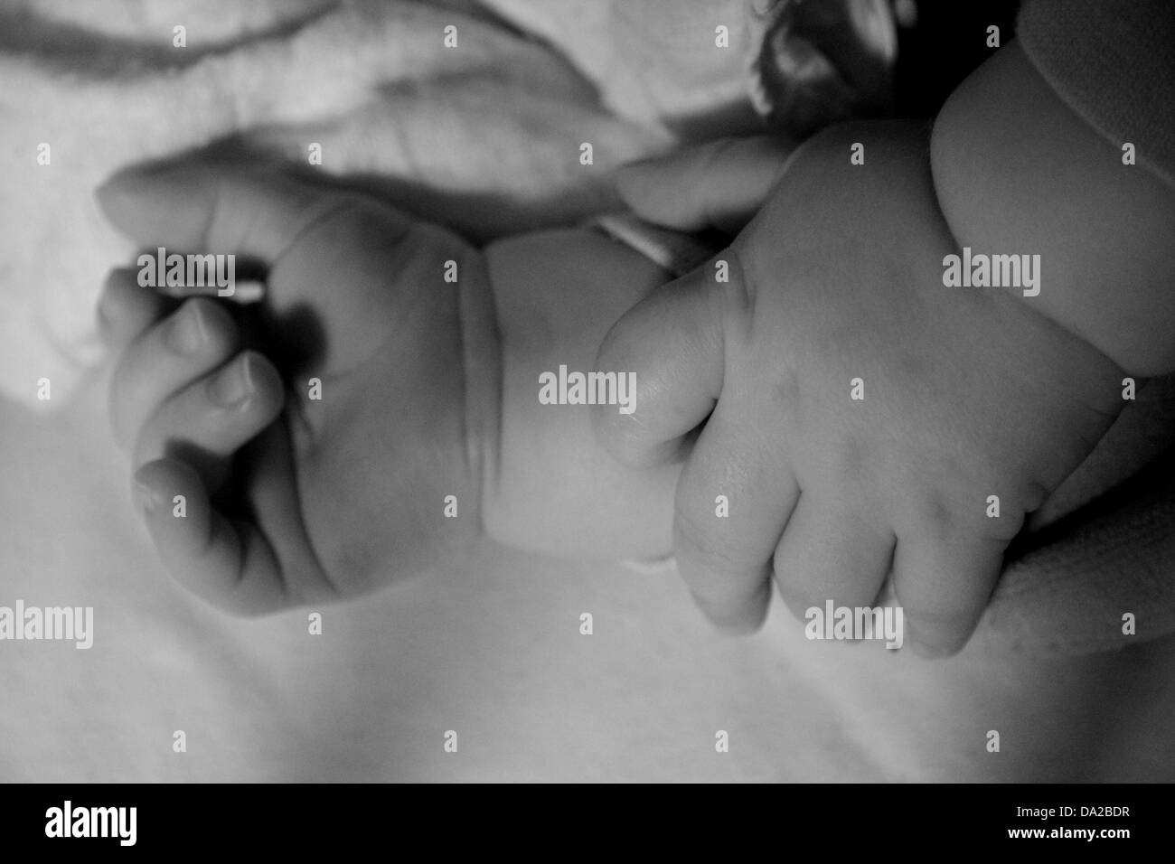 hands of newborn child Stock Photo - Alamy