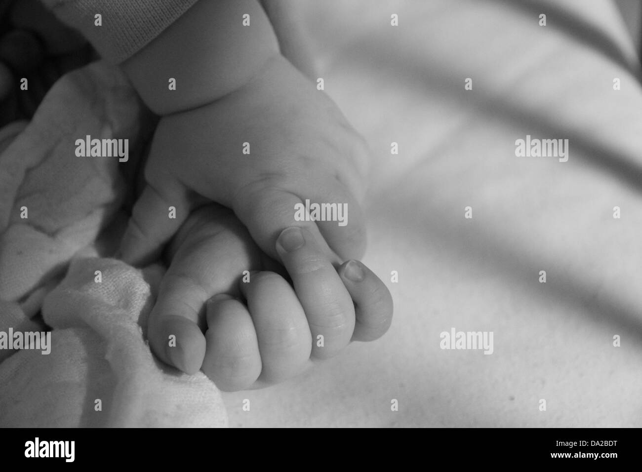 hands of newborn child Stock Photo - Alamy