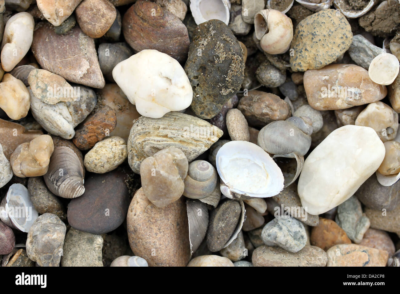 This is a small pebble on the beach, like nice background Stock Photo