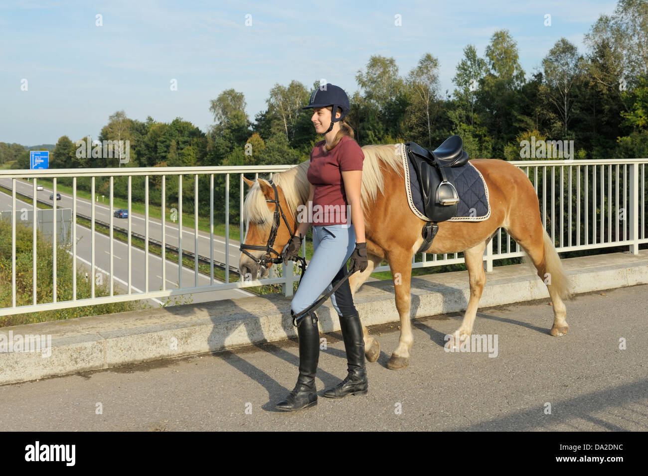 Equestrian Crossing High Resolution Stock Photography and Images Alamy