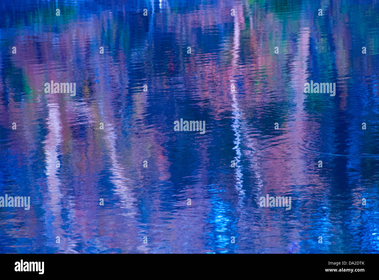 Trees reflected in water Stock Photo - Alamy