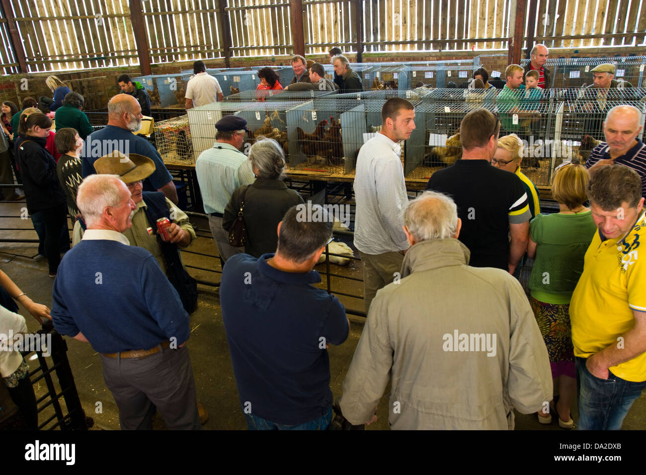 Poultry auction at monthly farmers market in Malton Ryedale North