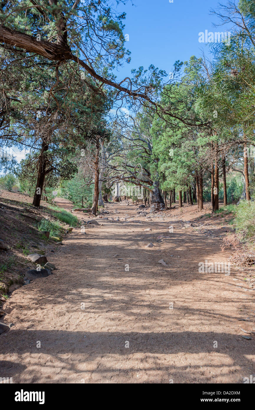 Dry river beds are graded and used as roads in the Flinders Ranges, Outback South Australia Stock Photo