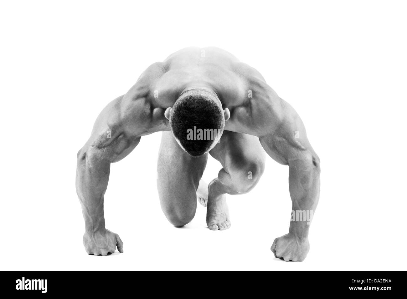 Bodybuilding Black And White Stock Photos Images Alamy Images, Photos, Reviews