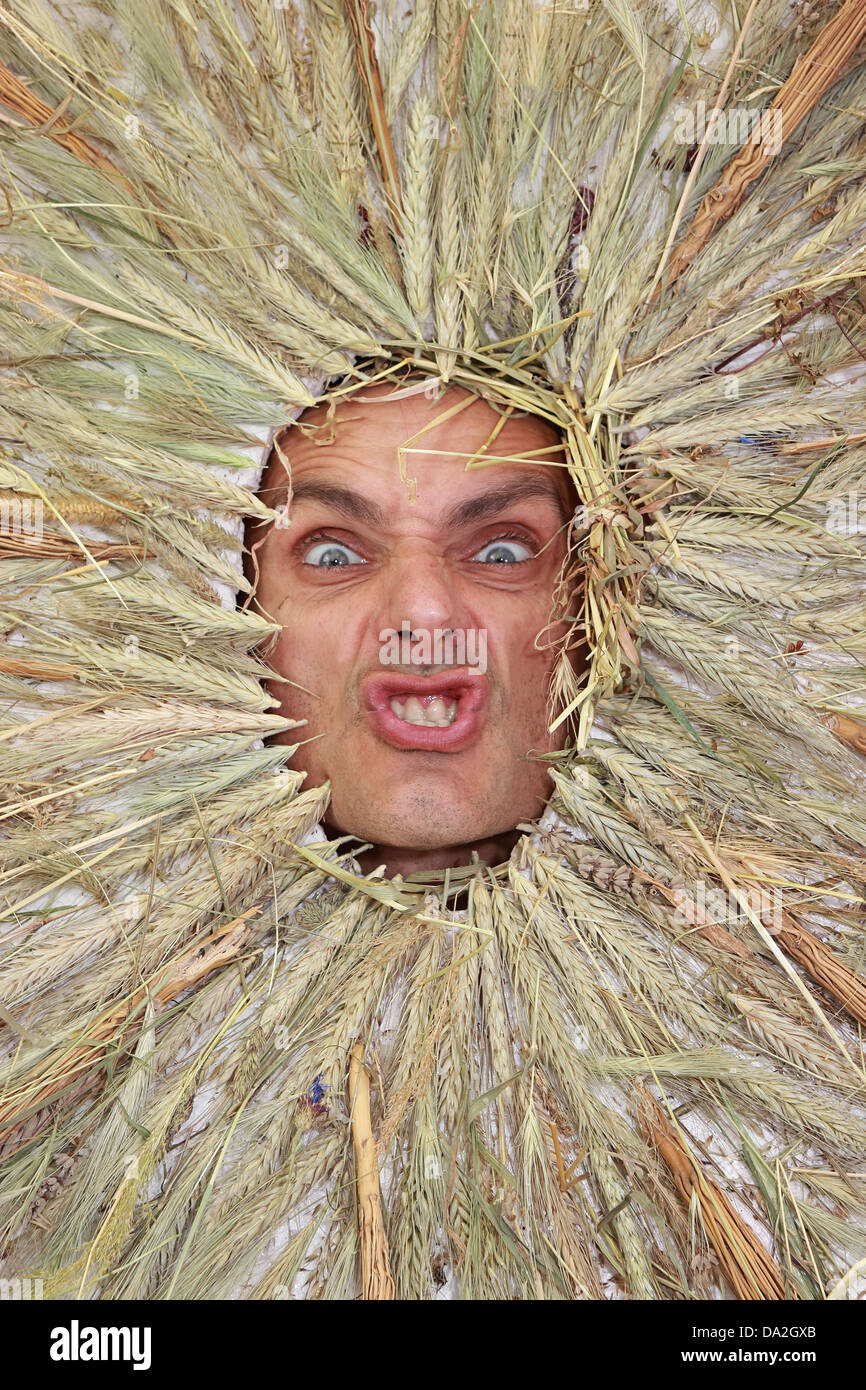 angry man summer concept, wheat ears Stock Photo