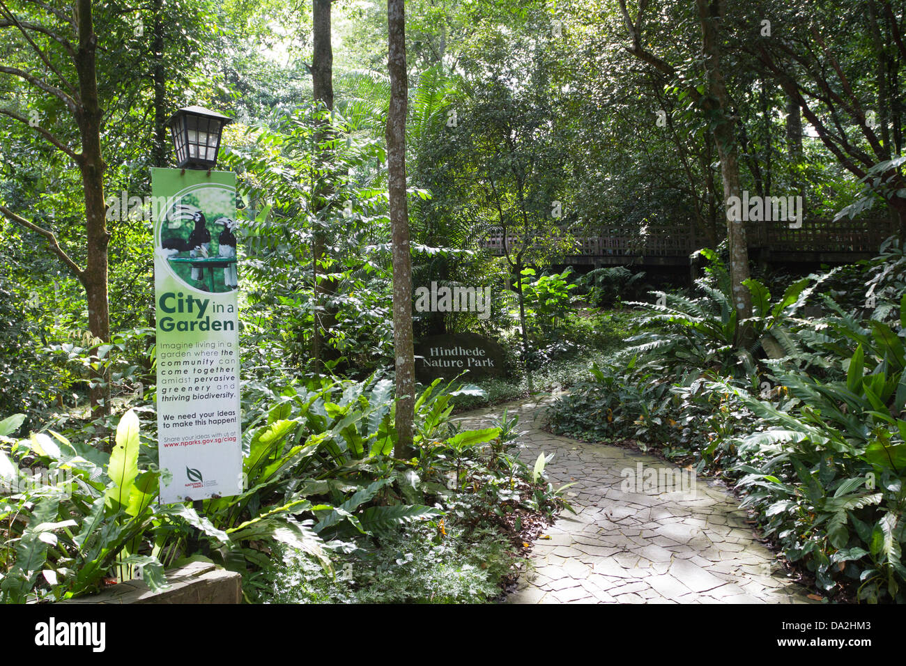 Hindhede nature park singapore hi-res stock photography and images - Alamy