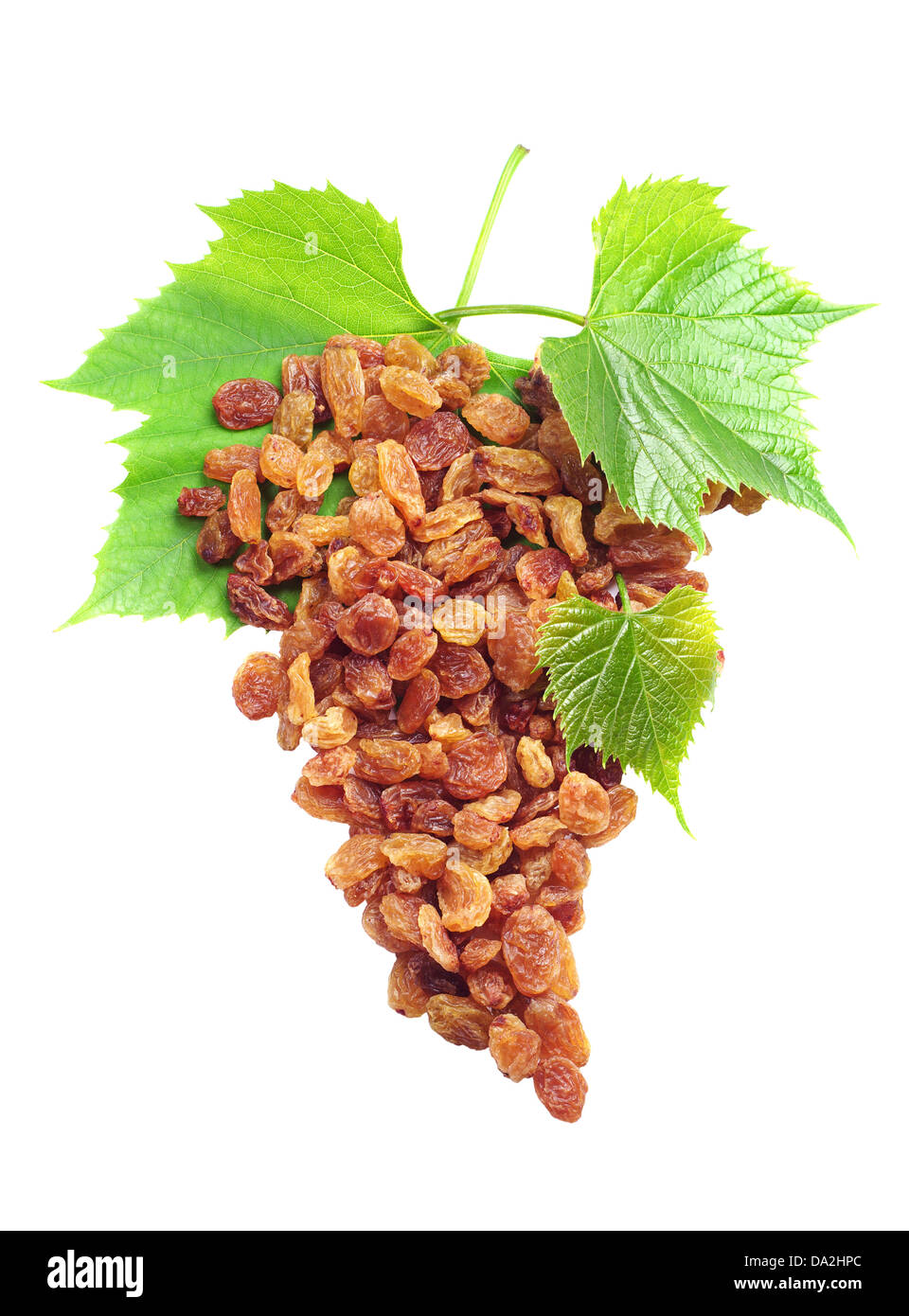 Raisins and grapes with leaves isolated on a white background Stock ...