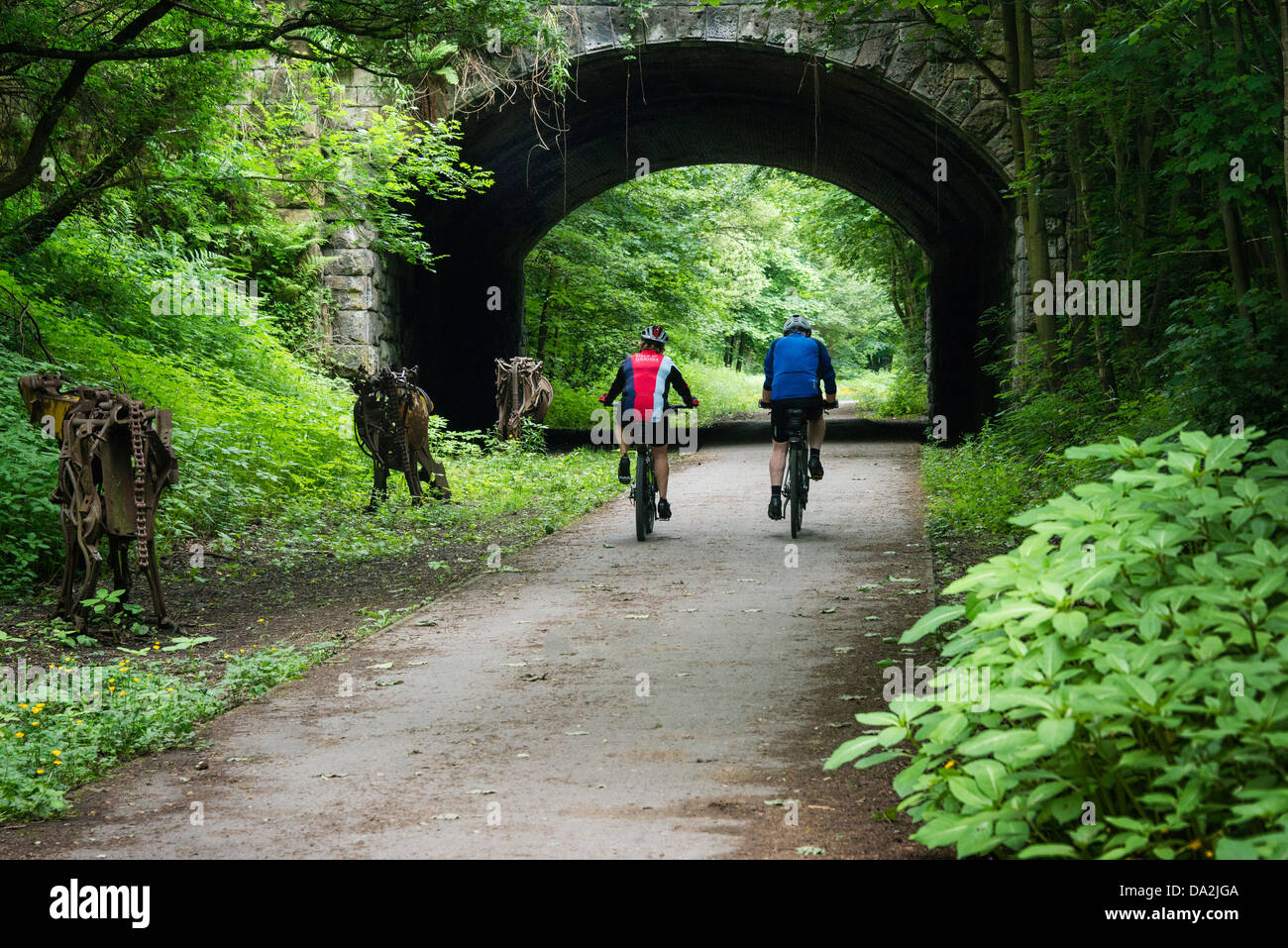 The Beamish Shorthorns Stock Photo