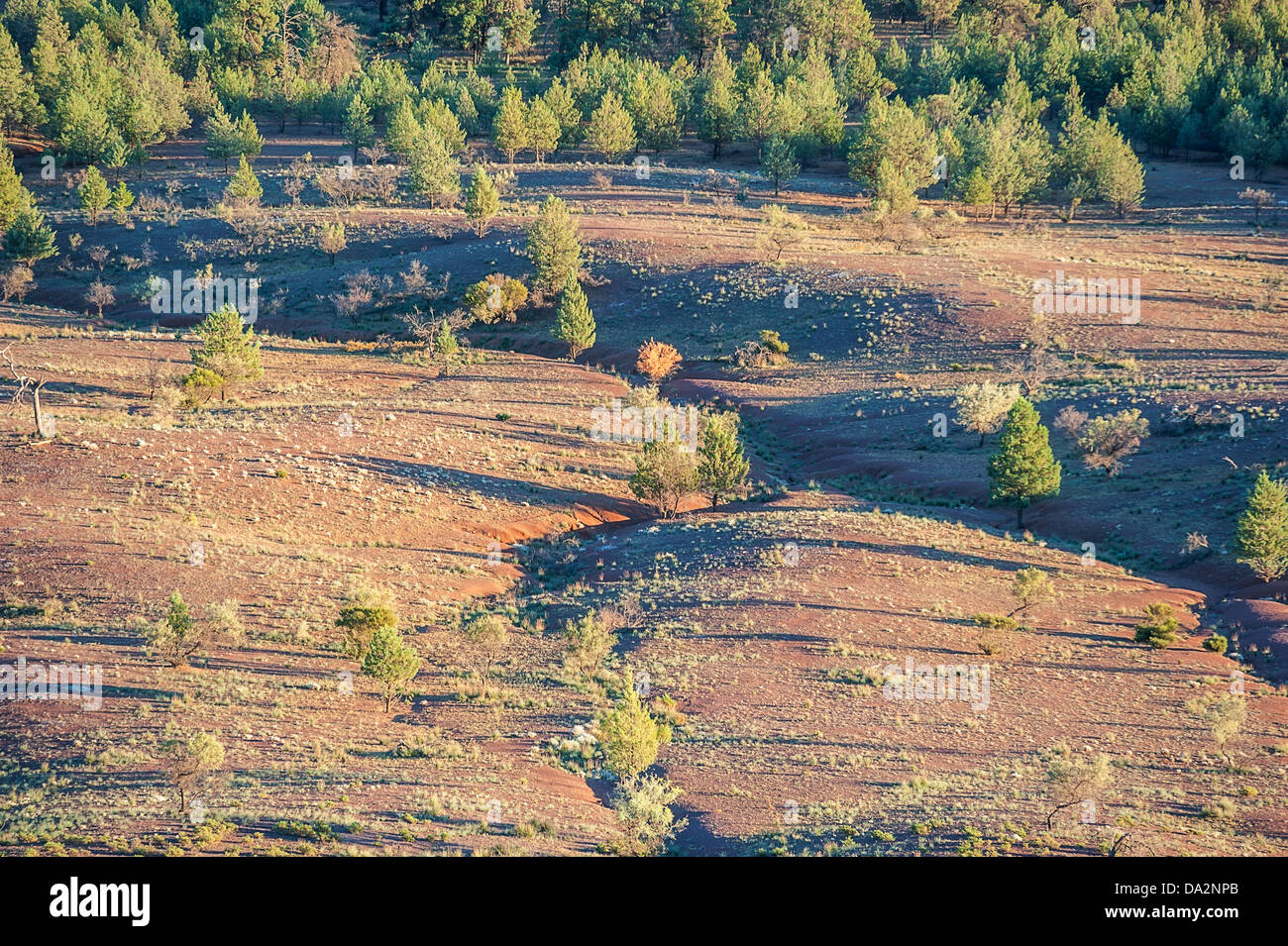 The ruggedly beautiful Flinders Ranges in the Australian outback Stock ...