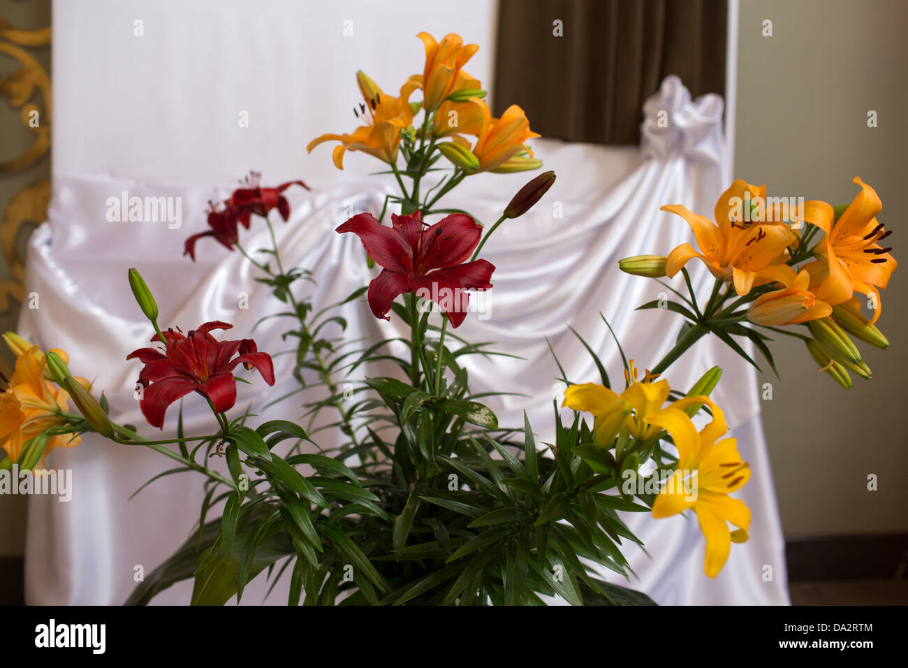Cross on holy bible flower hi-res stock photography and images - Alamy