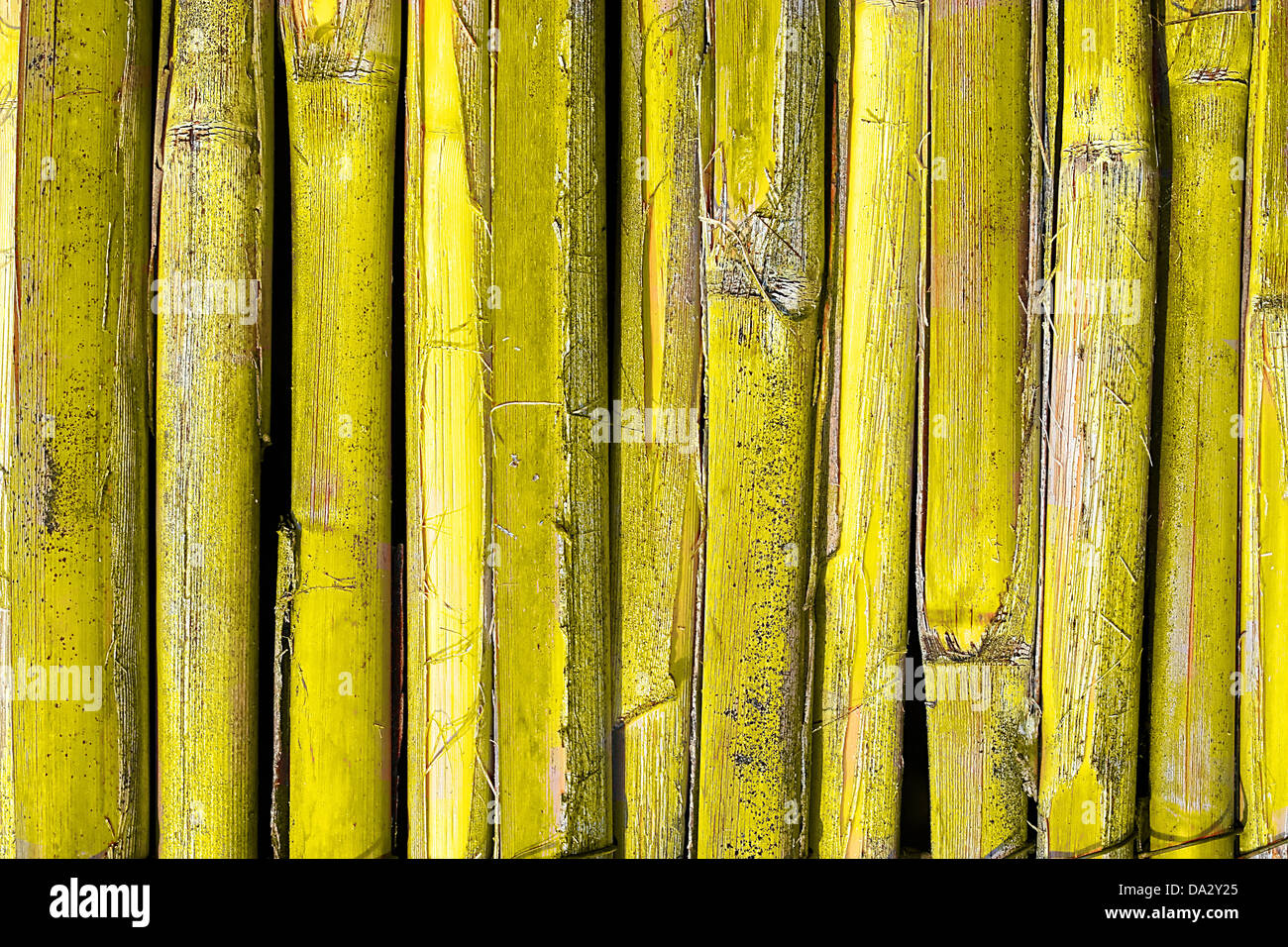 This is a closeup shot of old yellow reed, like nice background. Stock Photo