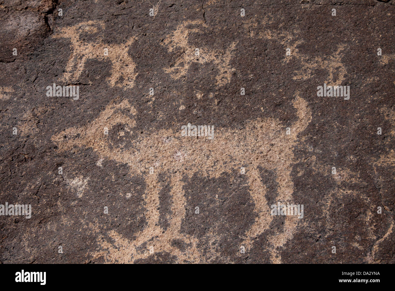 Prehistoric petroglyphs in Hieroglyph Canyon east of Phoenix, Arizona. Stock Photo