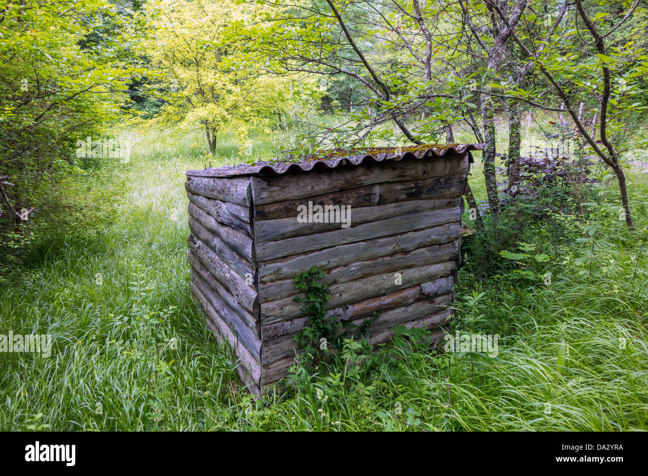 Wooden shed hut in meadow and woodland Stock Photo Alamy