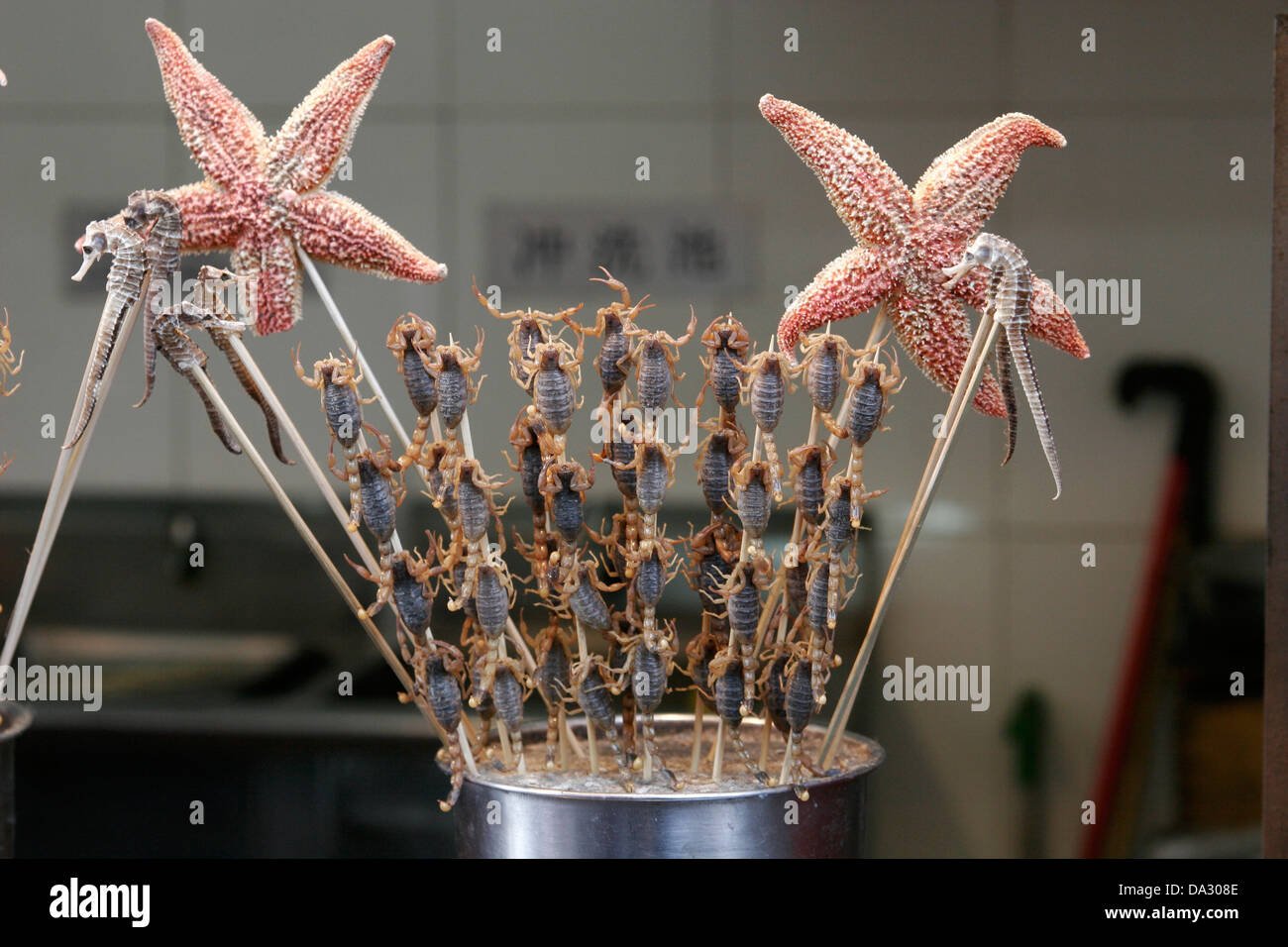Scorpions and starfish on sale as snack, Wangfujing  street, Beijing, China Stock Photo