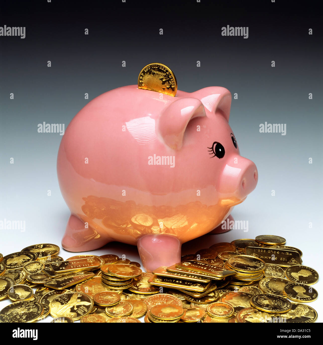 Pink piggy bank with gold coins Stock Photo