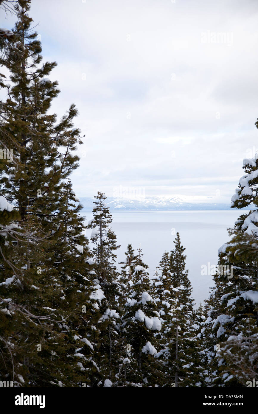 snow capped trees over look lake Tahoe California USA Stock Photo