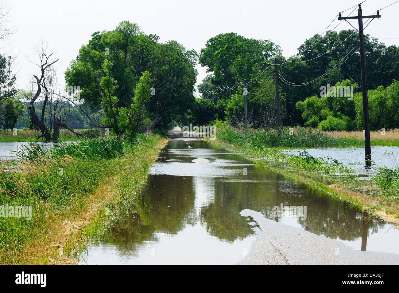 Country road flooded by lowland Stock Photo - Alamy
