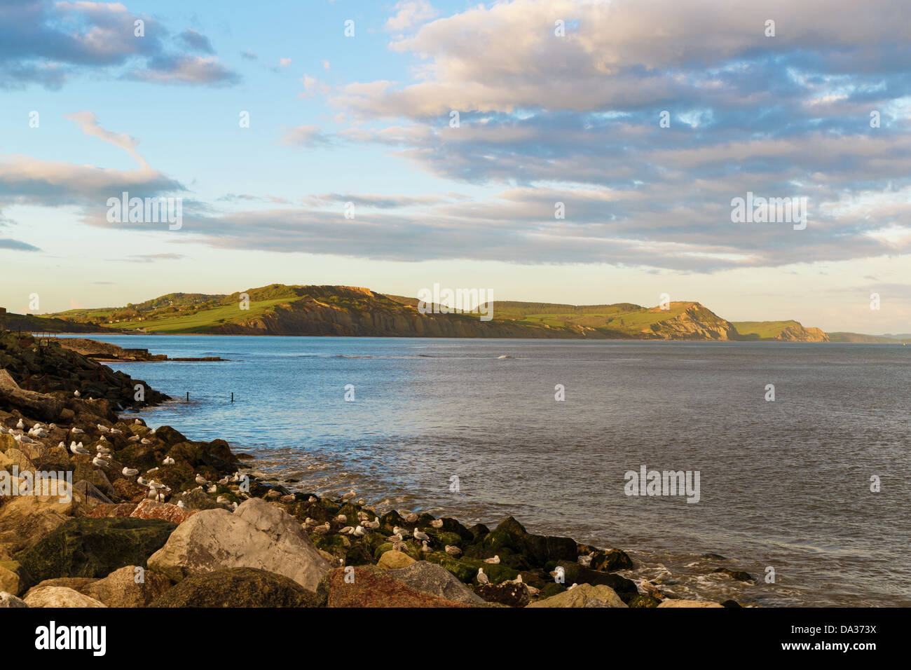 Lyme Regis, Dorset sea view at Evening Stock Photo Alamy