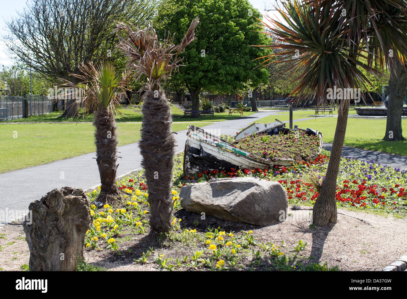 Exotic trees and a used boat transformed into a flower bed, People's Park, Dún Laoghaire. Stock Photo