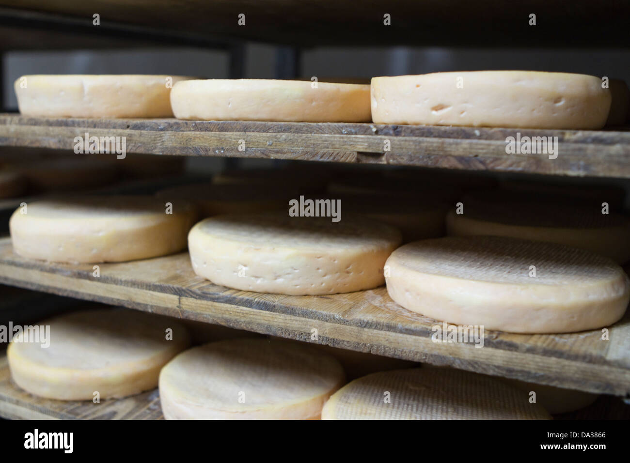 Munster Cheese High Resolution Stock Photography and Images Alamy