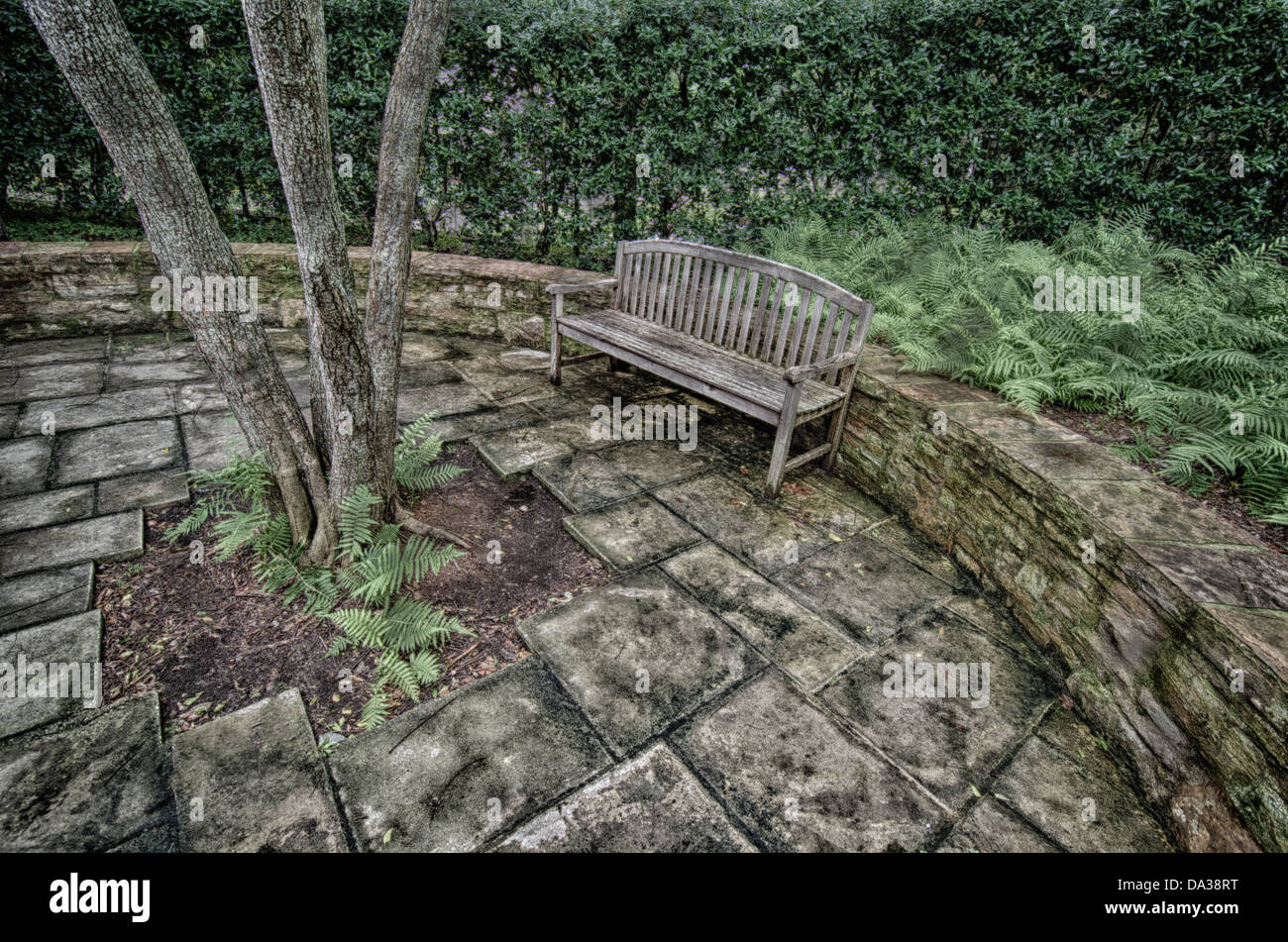 Grungy image of bench in park surrounded by trees and lush foliage. Stock Photo
