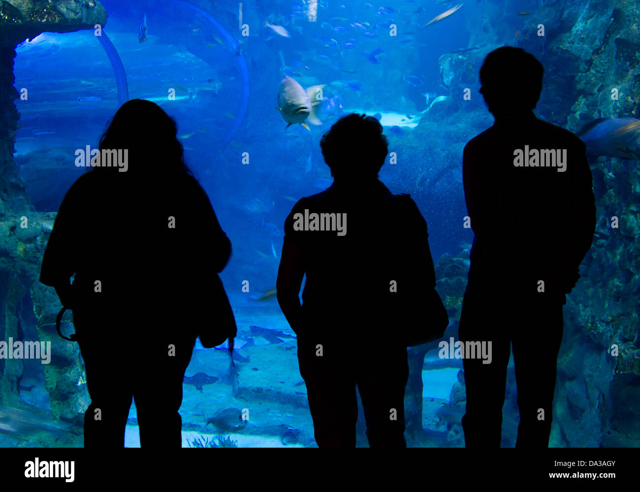 San Sebastian Aquarium Hi Res Stock Photography And Images Alamy