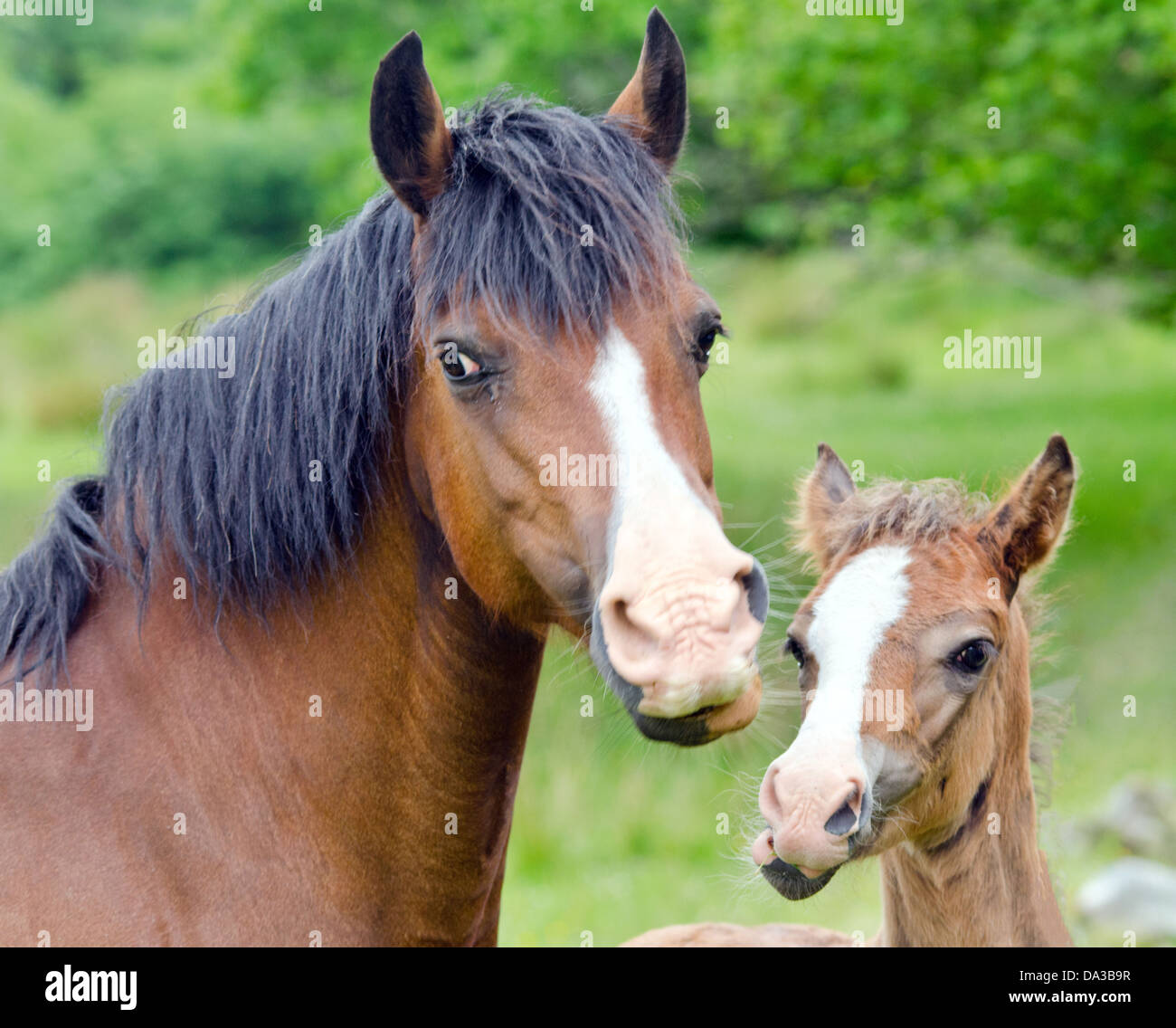 My Image 32