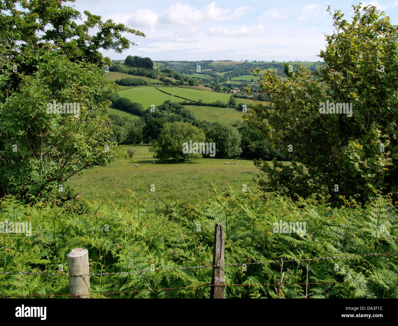 Coly valley, East Devon, UK 2013 Stock Photo