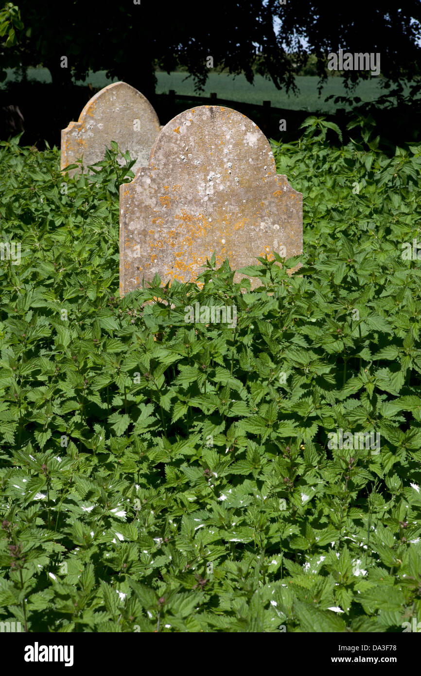 Overgrown gravestones surrounded by stinging nettles Stock Photo