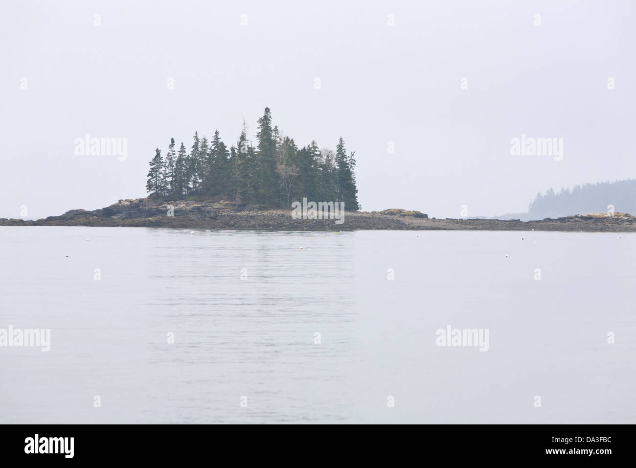 Seal harbor hires stock photography and images Alamy