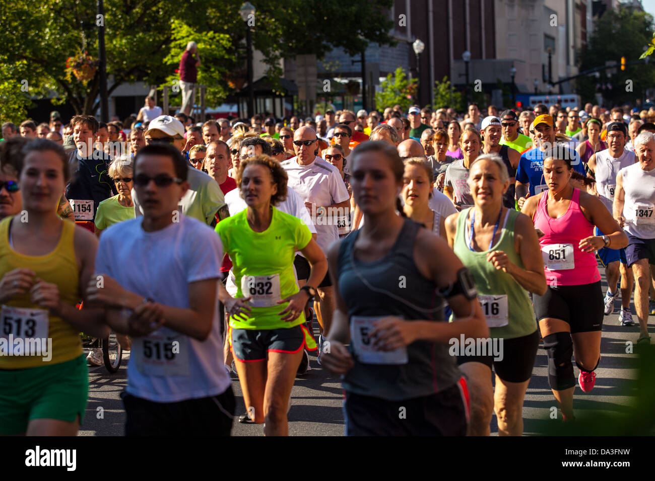 Red rose of lancaster hires stock photography and images Alamy