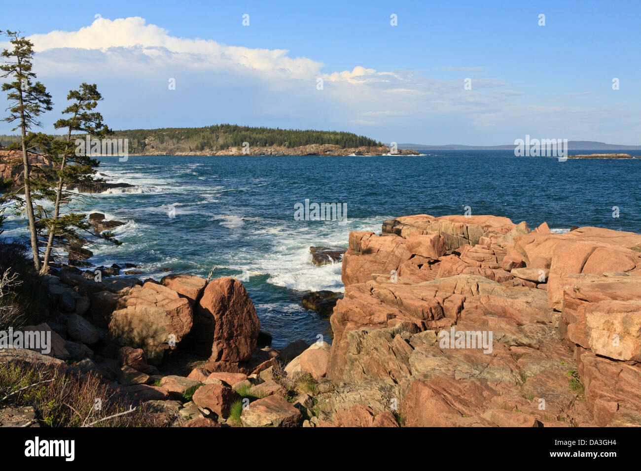 Cove In Acadia National Park, Maine Stock Photo - Alamy