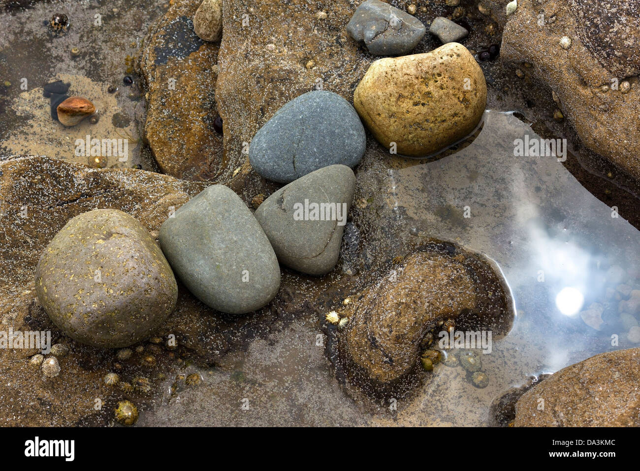 Coloured pebbles by sunlit rock pool, Isle of Skye, Scotland, UK Stock Photo