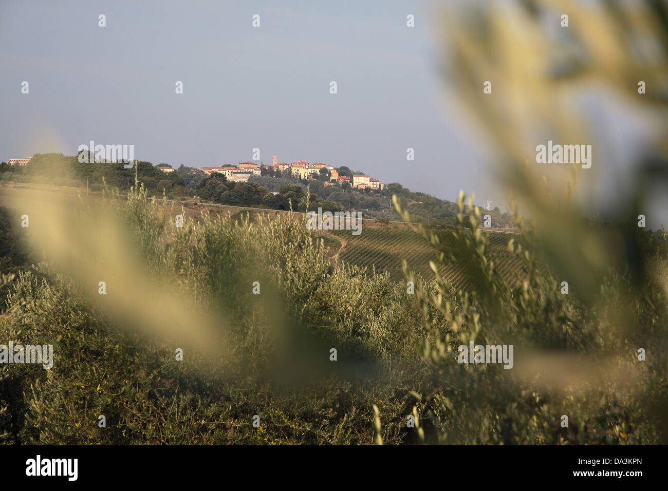 Tuscany hills in Chianti near Gambassi Terme Stock Photo