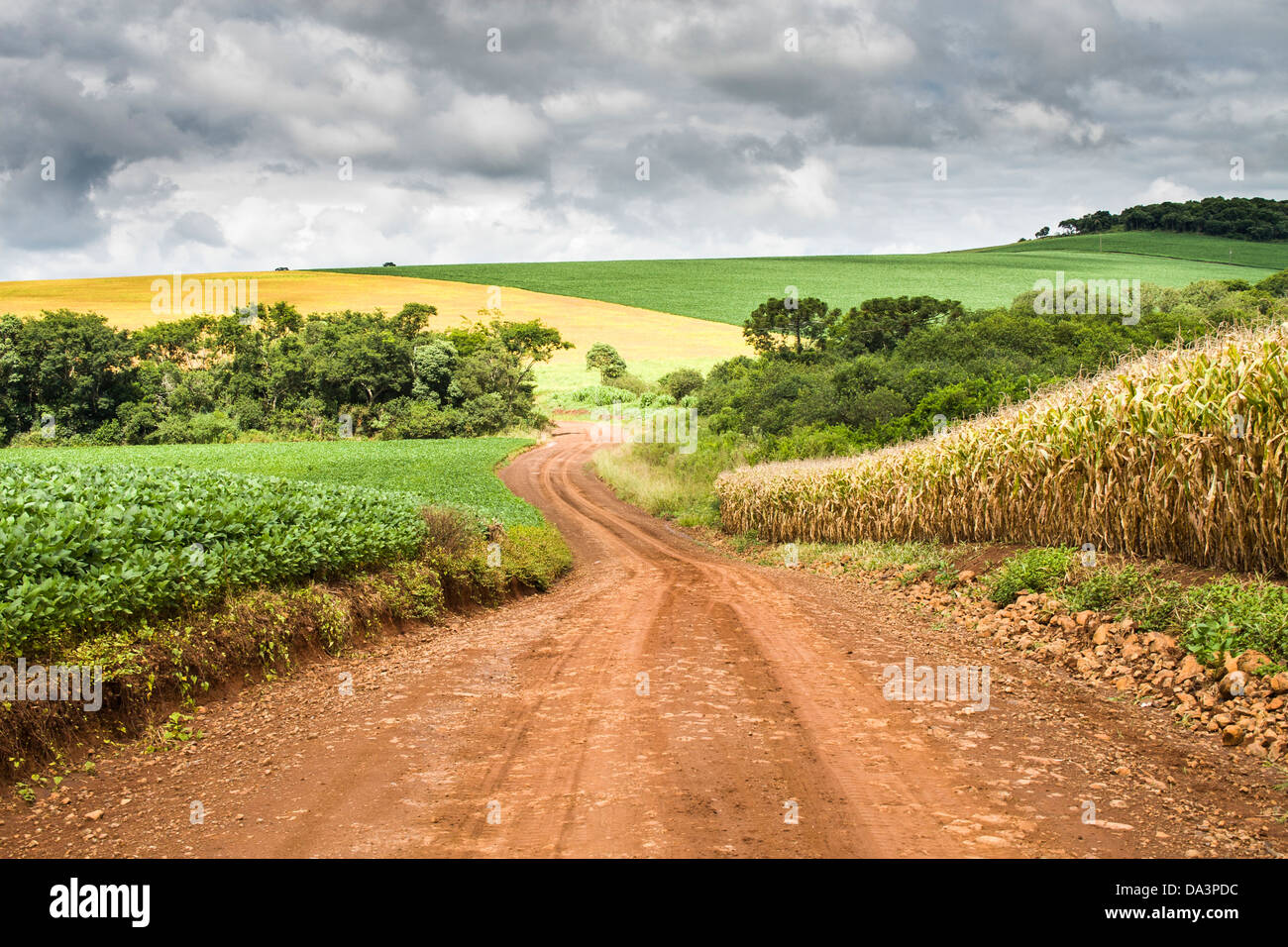 Ouro Verde Santa Catarina fonte: c8.alamy.com