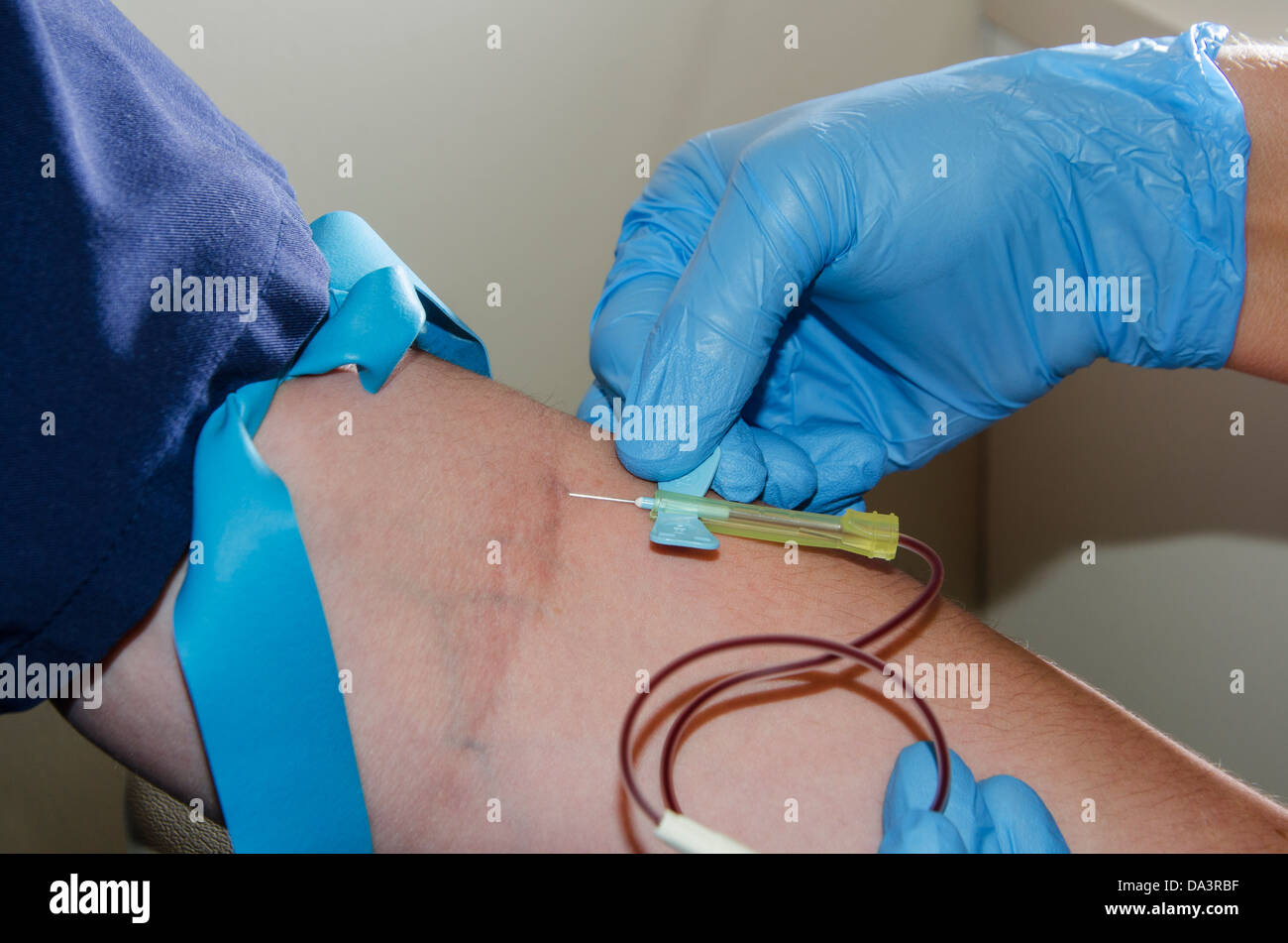 Drawing blood from a vein for laboratory analysis Stock Photo Alamy